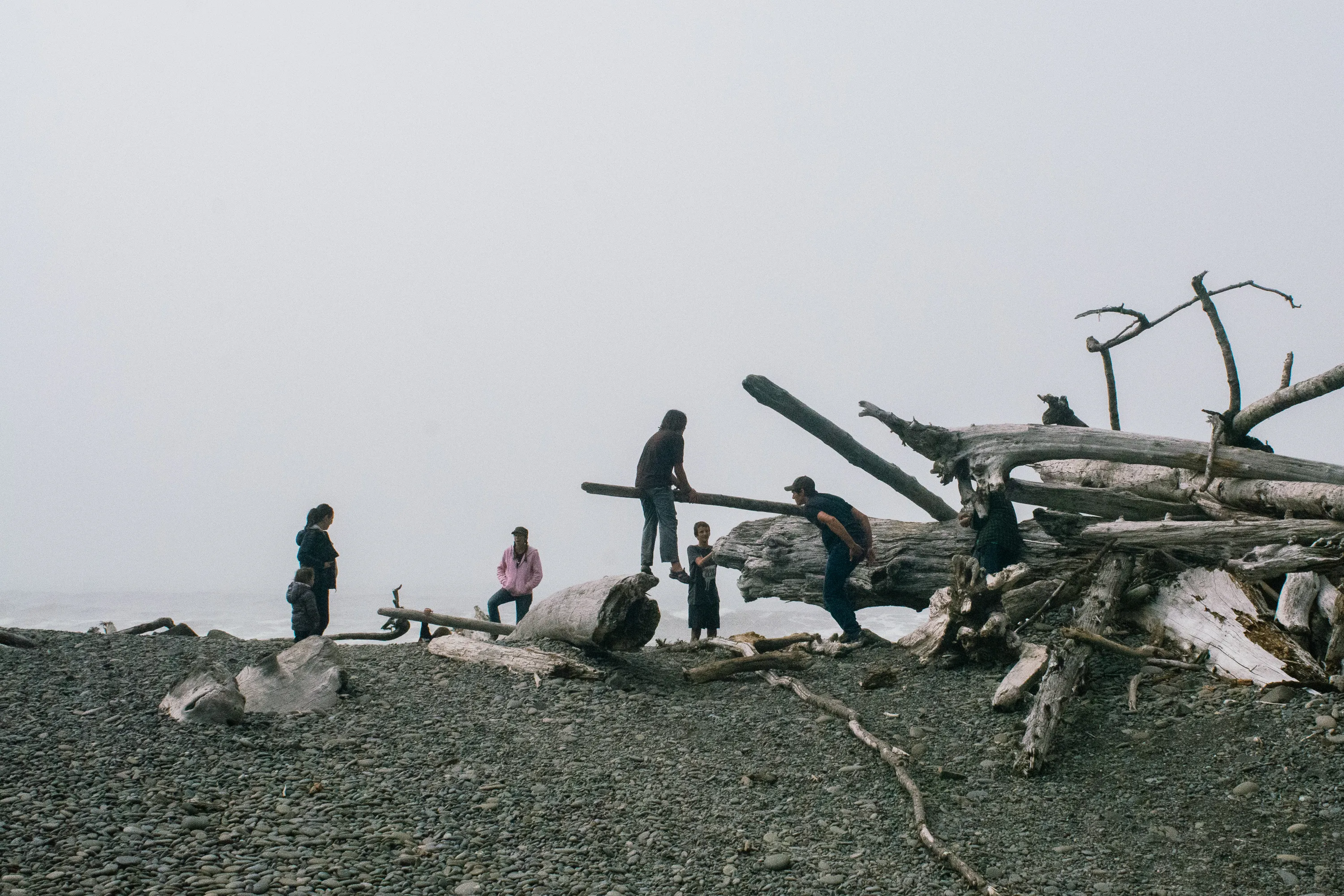 A family climbing and exploring a massive driftwood pile on a foggy Pacific coast beach on the Olympic Peninsula, Washington