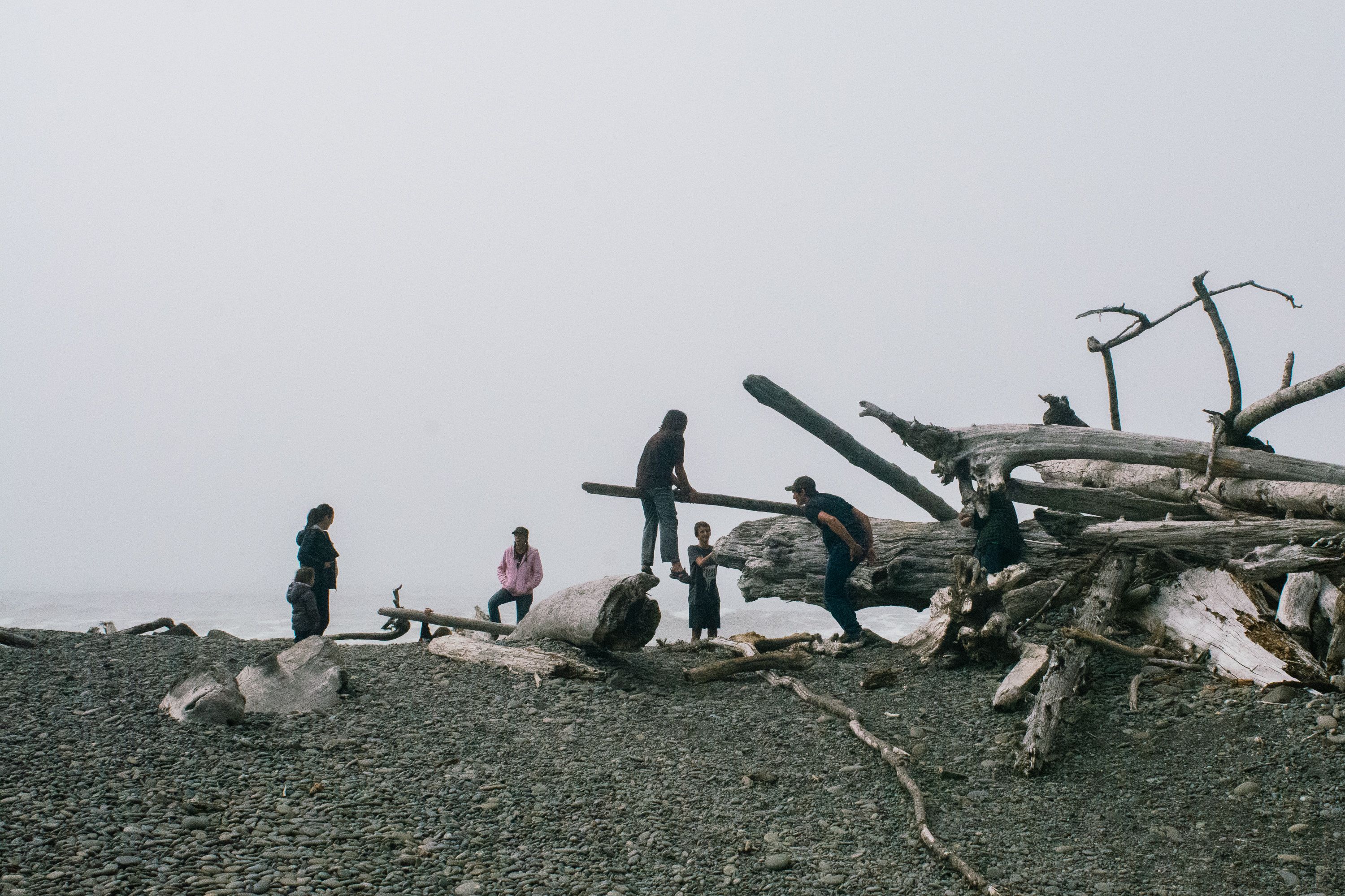 A family climbing and exploring a massive driftwood pile on a foggy Pacific coast beach on the Olympic Peninsula, Washington